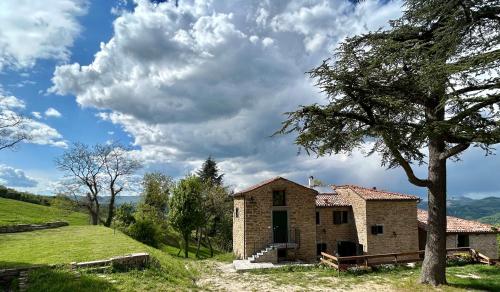 uma pequena casa de tijolos num campo com uma árvore em Monte Cuccolo House B&B em Fontanelice