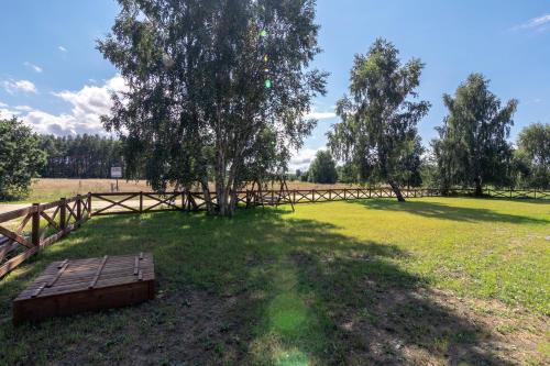 a park with a bench and a tree in a field at Na Skraju Lasu e-apart in Jastrzębia Góra
