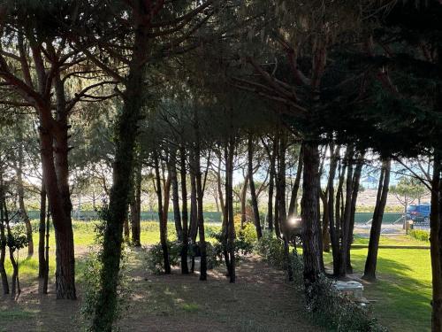 Φυσικό τοπίο κοντά σε αυτή η παραθεριστική κατοικία