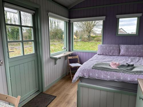 a bedroom with purple walls and a bed and windows at Market Street Shepherd's Hut Leitrim in Drumahayre