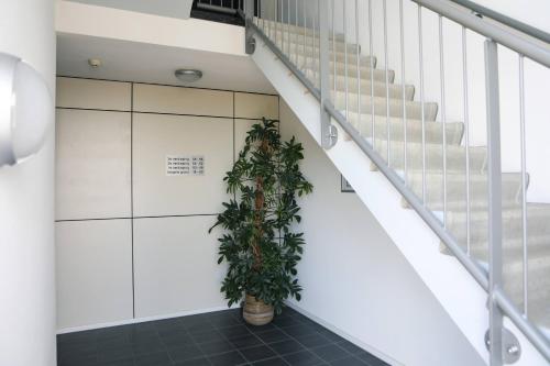 a plant in a hallway next to a staircase at Strand Appartementen Wemeldinge in Wemeldinge