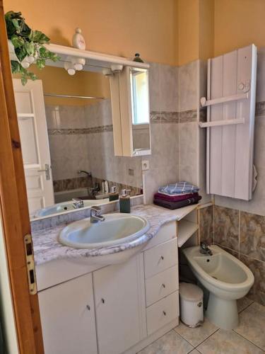 une salle de bain avec un lavabo et des toilettes dans l'établissement Cœur de Millas terrasse, jardin et parking privé, à Millas