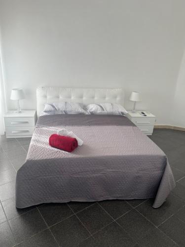 Nic trastevere house
