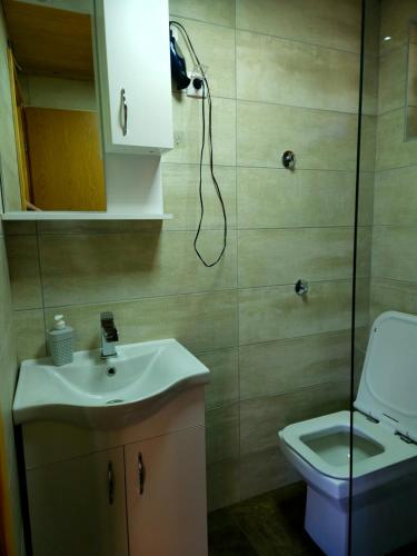 a bathroom with a shower and a sink and a toilet at Art Village in Kremna