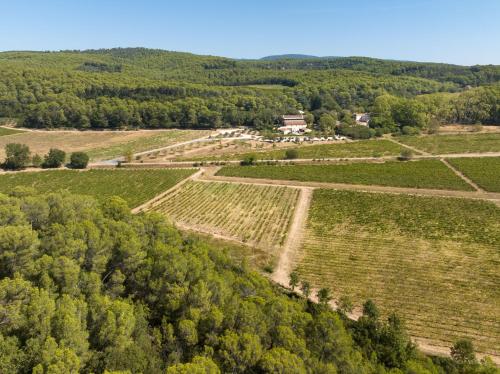 an aerial view of a farm with trees and fields at Château Mentone in Masseboeuf