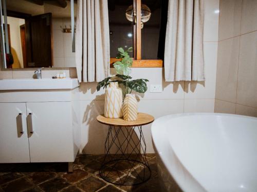 La salle de bains est pourvue d'une baignoire et d'une plante sur une table. dans l'établissement Bona Bona Game Lodge, à Wolmaranstad