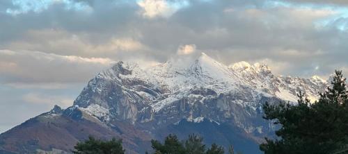 a snow covered mountain with trees in front of it at Hôtel du tilleul in Corps