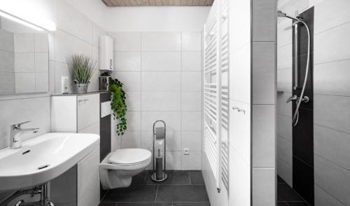 La salle de bains blanche est pourvue de toilettes et d'un lavabo. dans l'établissement Wäller Garten, à Westerburg