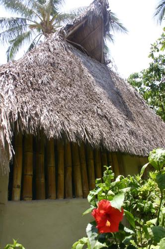 a straw hut with a red flower in front of it at Junto al Rio Bungalows & Suites in Sayulita