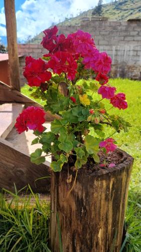 a pot of flowers sitting on top of a wooden stump at the wooden house choquequirao in Cachora
