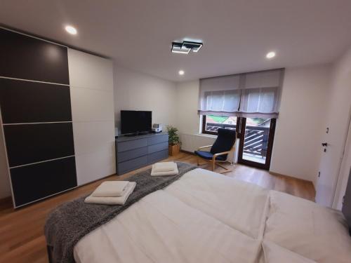 ein Schlafzimmer mit einem großen Bett und einem TV in der Unterkunft Apartment Break in Rob