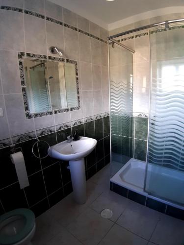 een badkamer met een wastafel, een douche en een toilet bij Quinta da Barroca do Cabo in Ázere