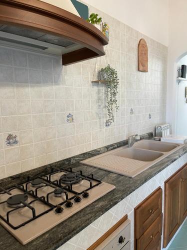 A kitchen or kitchenette at Seaview apartments