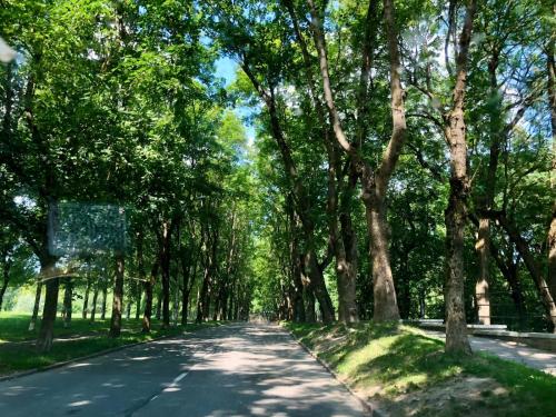 a road with trees on the sides of it at LITTLE LONDON boutique apartment with Netflix, top location in Old Town in Narva