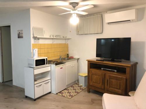 a small kitchen with a tv and a counter with a microwave at Appartement 4 pers in Aiglun