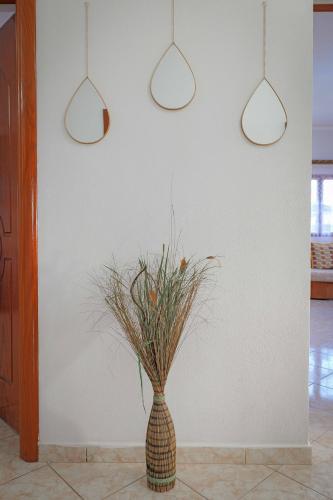 Fotografie z fotogalerie ubytování Green Villa Shendelli v destinaci Vrinë