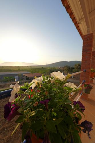 Fotografie z fotogalerie ubytování Green Villa Shendelli v destinaci Vrinë