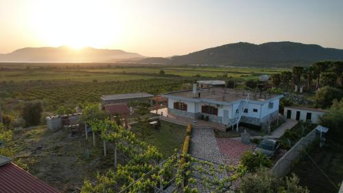 Fotografie z fotogalerie ubytování Green Villa Shendelli v destinaci Vrinë