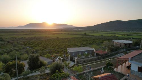 Fotografie z fotogalerie ubytování Green Villa Shendelli v destinaci Vrinë