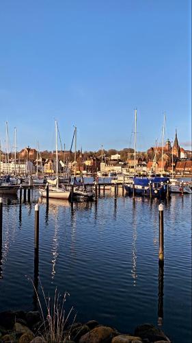 a group of boats docked in a harbor at Hafen Deern in Flensburg