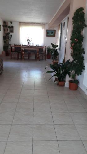 a large room with a table and potted plants at Casa Elena Eselnita in Eşelniţa