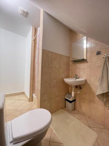 a bathroom with a toilet and a sink at Bieszczadzki Brzeg in Wołkowyja