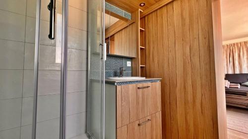 une salle de bain avec douche et lavabo dans l'établissement Appartement 2 chambres et studio indépendant avec vue sur mer, à Nice