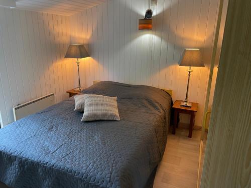 een slaapkamer met een bed met twee lampen erop bij Le petit gîte in Vresse-sur-Semois