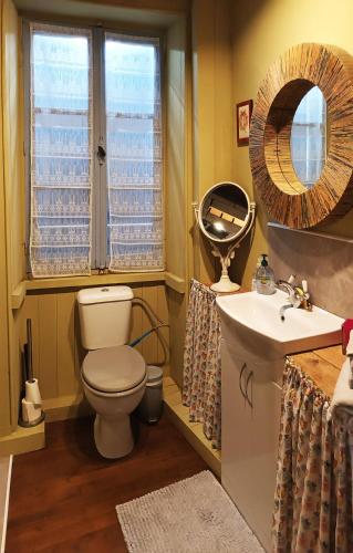 a bathroom with a toilet and a sink and a mirror at Au bord de la rivière in Verteuil-sur-Charente
