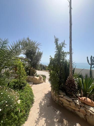 a garden with a pathway with plants and a palm tree at Villa Jardin De l'Ocean in Aourir
