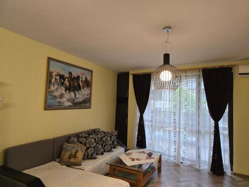 sala de estar con sofá y lámpara de araña en Apartment Wild Walnut, en Varna