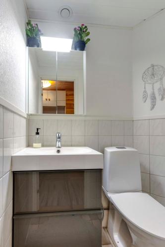 a bathroom with a sink and a toilet and a mirror at Mehtämökki in Kalajoki