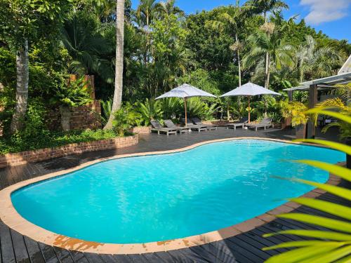 una piscina en un complejo con sillas y sombrillas en Leopard Tree Lodge en St Lucia