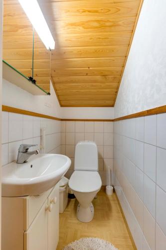 a bathroom with a white toilet and a sink at Mehtämökki in Kalajoki