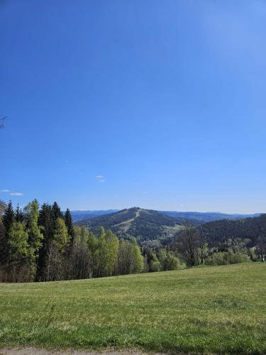 a field of green grass with trees in the background at Chalupa pod Bínovem in Smržovka