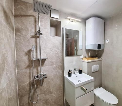 a bathroom with a shower and a toilet and a sink at Apartman Ena by the Sea in Prizba