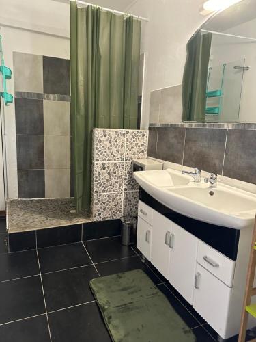 un baño con lavabo y ducha en Pavillon zen, en Petit-Bourg