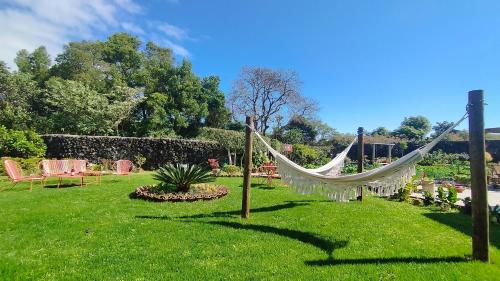 a hammock in the grass in a garden at Quinta dos Sentidos , Rustic Holiday Houses in São Vicente Ferreira in São Vicente Ferreira