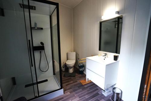 ein Badezimmer mit Dusche, Waschbecken und Toilette in der Unterkunft La maison du Thoré in Saint-Amans-Valtoret