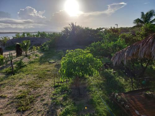 a tree in a field with the sun in the background at Casa de Atins in Atins