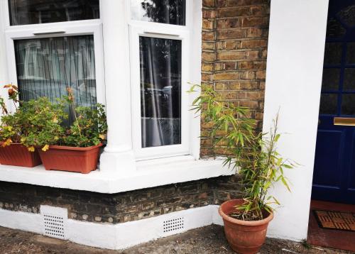 two windows with potted plants on the side of a house at 1 Bed Victorian flat Sleeps 4 - Garden & Patio in London