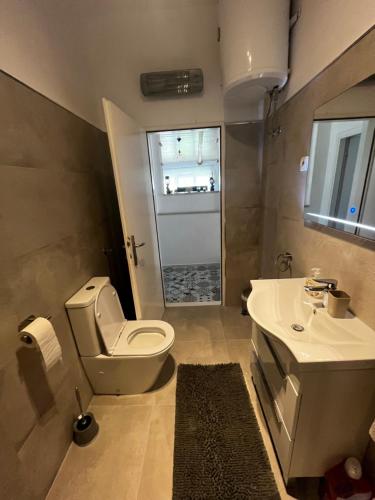 a bathroom with a toilet and a sink at Apartment Cvita in Zadar