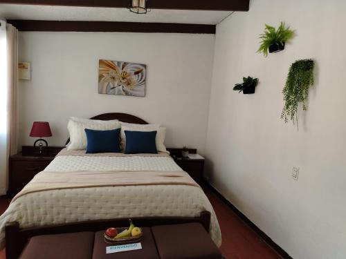 ein Schlafzimmer mit einem Bett mit blauen Kissen und Pflanzen in der Unterkunft departamento en la mejor zona de cochabamba in Cochabamba