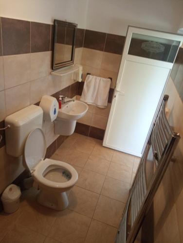 a bathroom with a toilet and a sink at Casa Barry's in Tăşnad