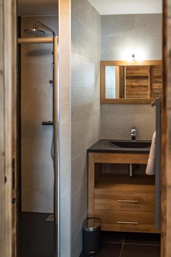 une salle de bain avec un lavabo et une douche dans l'établissement Appartement chaleureux 8 couchages avec terrasse au coeur du village, à Saint-Sorlin-dʼArves