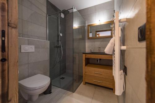 a bathroom with a shower and a toilet and a sink at Appartement neuf au cœur du village - 6 personnes in Saint-Sorlin-dʼArves