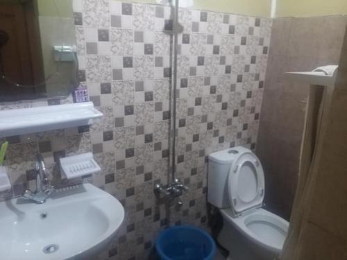 a bathroom with a sink and a toilet at Kashmir Inn Hotel in Muzaffarabad