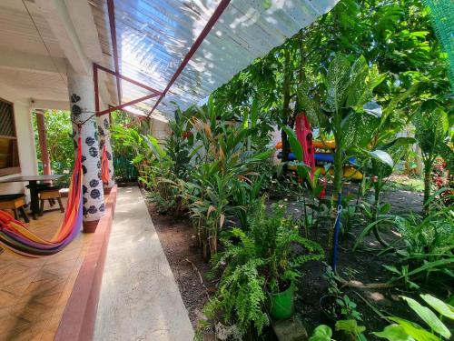 a conservatory with a bunch of plants and a hammock at Wildlife Tortuguero in Tortuguero