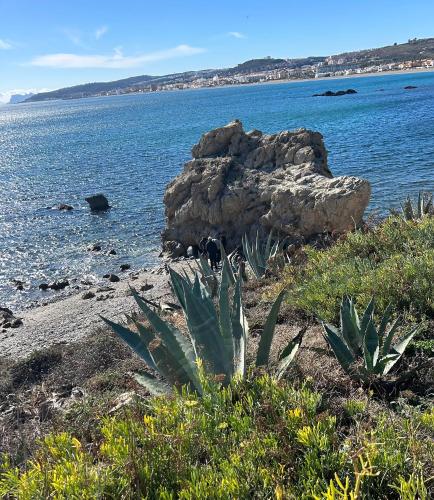 Appartement dans les jardins tropicaux photo 21
