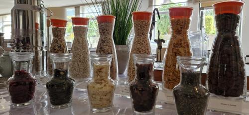 a group of glass bottles sitting on a table at Hotel Markkleeberger Hof in Markkleeberg